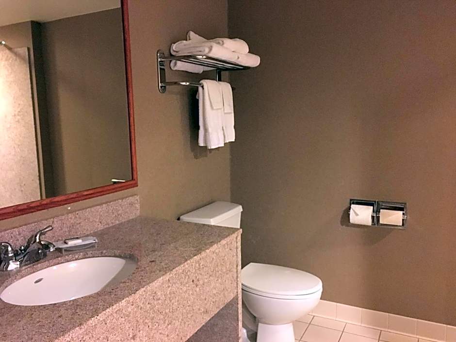Wingate by Wyndham Coon Rapids