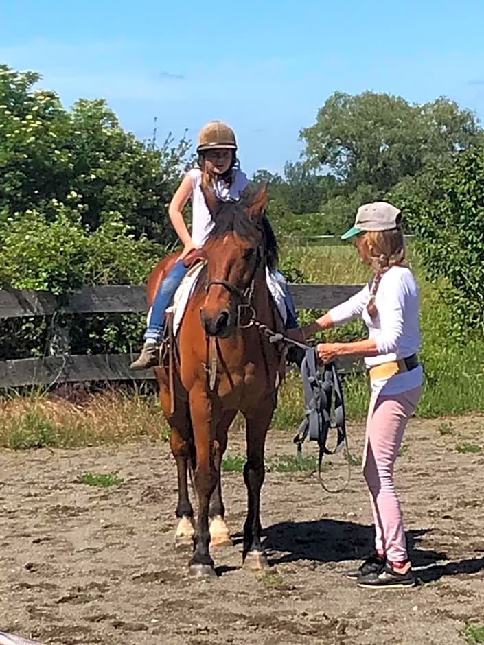 Château de Saint-Agoulin