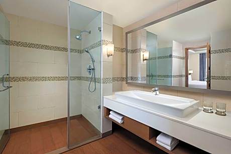 Suite, 1 Bedroom (1 King Bed)
