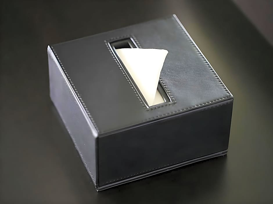 Apa Hotel Tsubamesanjo-Ekimae