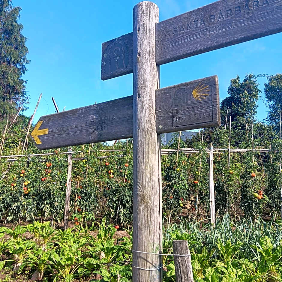 Hego Haize Albergue Hostel