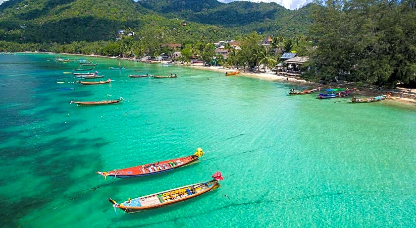 Savage Koh Tao