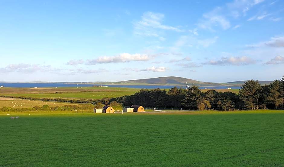 Lilly's Lodges Orkney Hedgehog Lodge