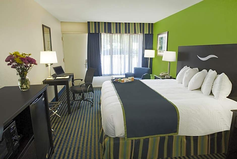 Photo 1 of 4 of 1 King Bed, Nonsmoking, 1st Floor