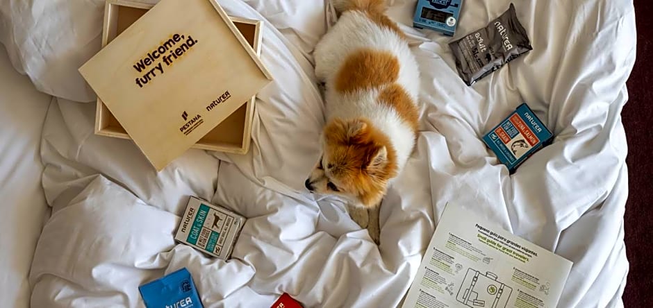 Pousada Palacio de Estoi- Monument Hotel & SLH