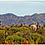 Kagga Kamma Eco Lodge & Spa