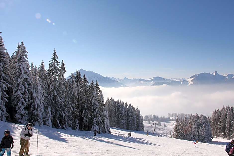 Hotel Rothorn Vintage-Style