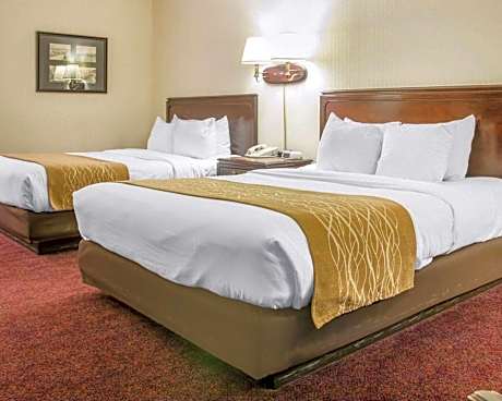 2 Queen Beds, Nonsmoking