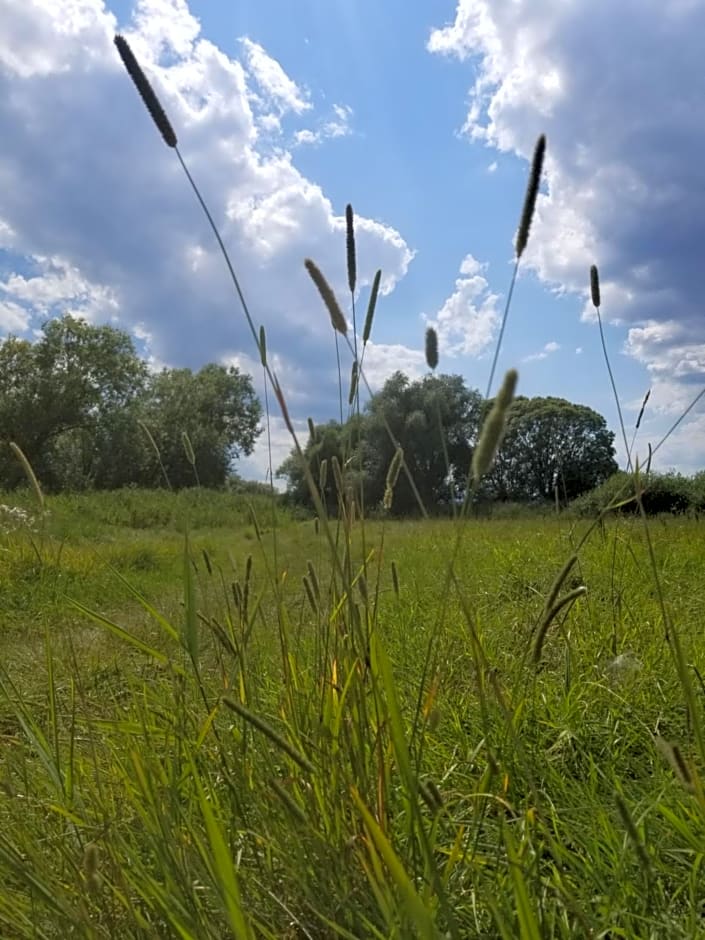 Chambre d'hôtes de charme, un temps en forêt