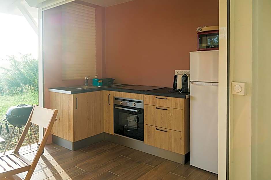 Studio : Écaille de tortue