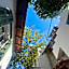 Barbaressa