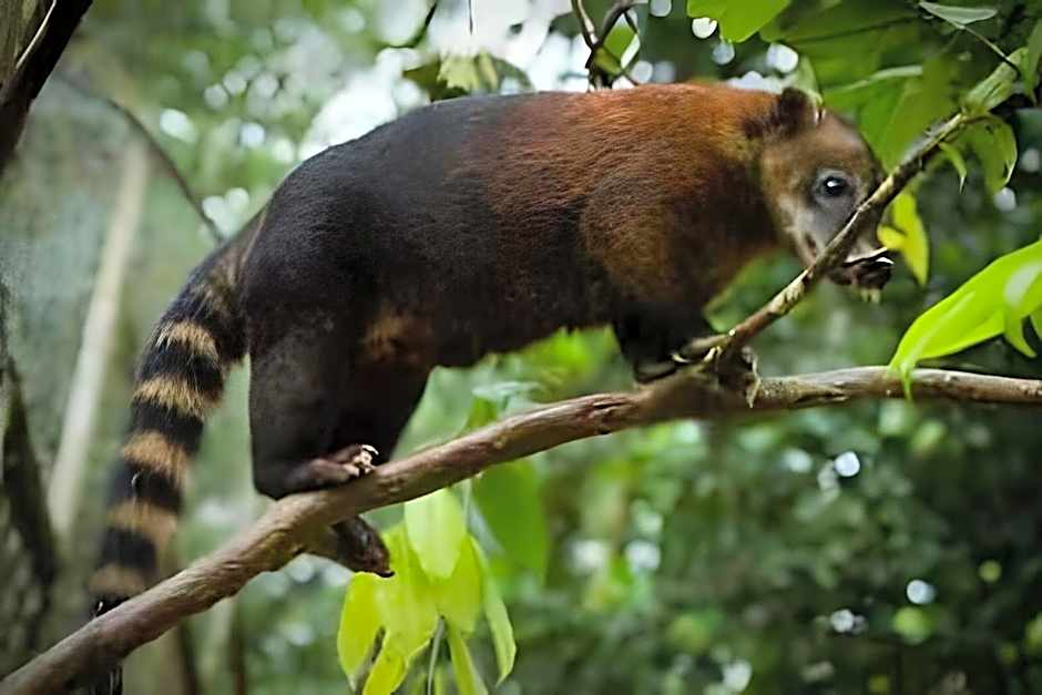 Casa dos Alpes com Jacuzzi hidro e Lareira