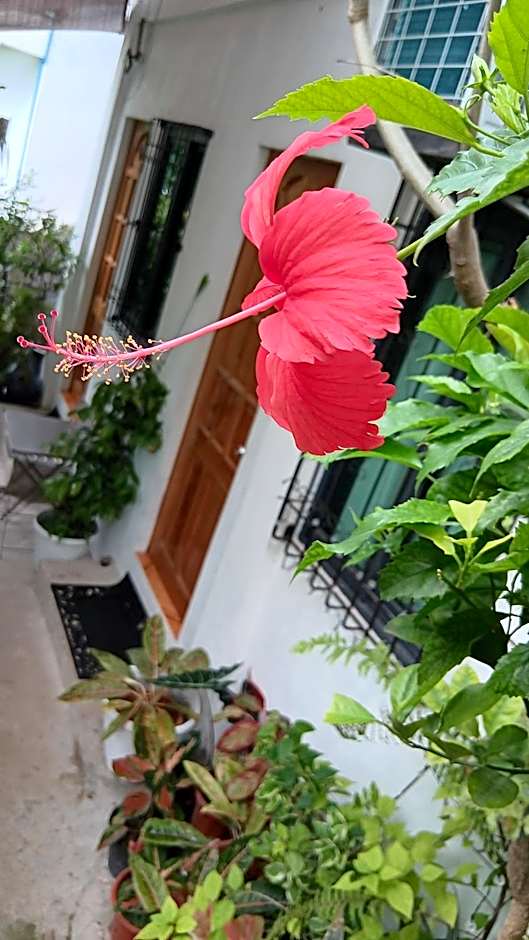 Susing Seaside Guesthouse