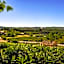 Gato Preto de Silves - Adults Only