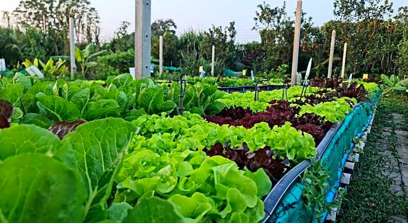 Kanchanaburi City Hotel