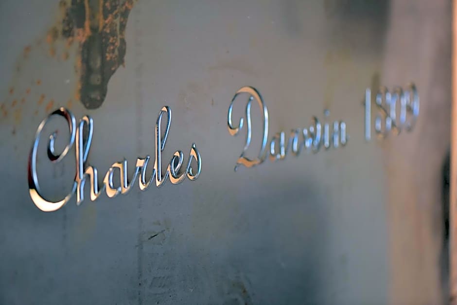 Le Silex - Adult Only