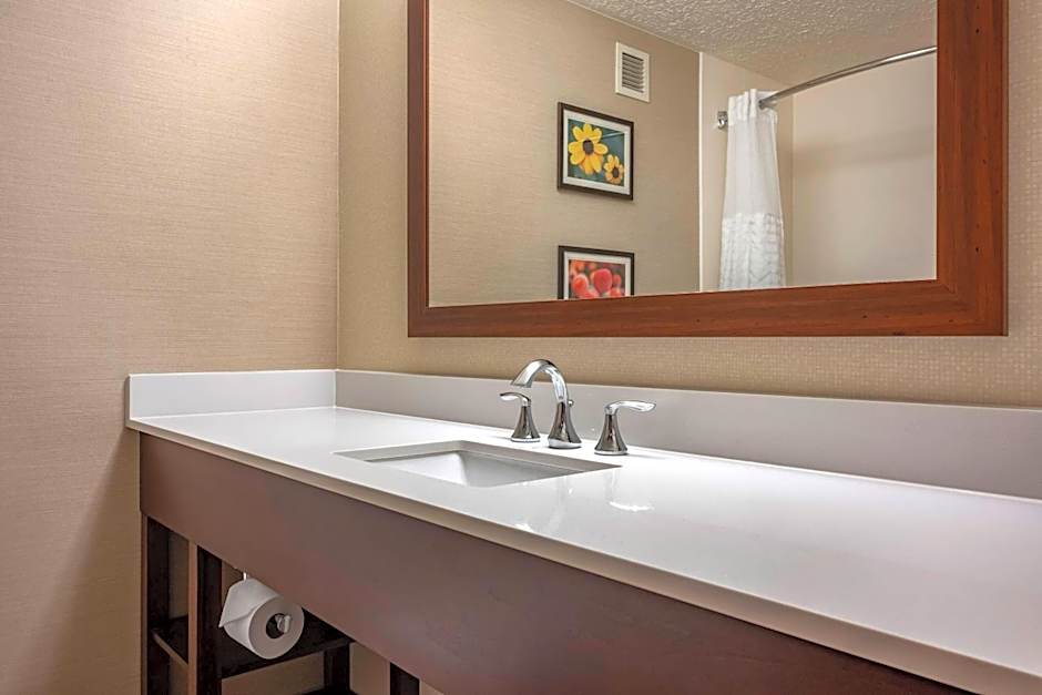 Comfort Suites State College near Penn State