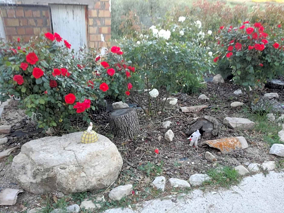 B&B Pozzo Innamorato