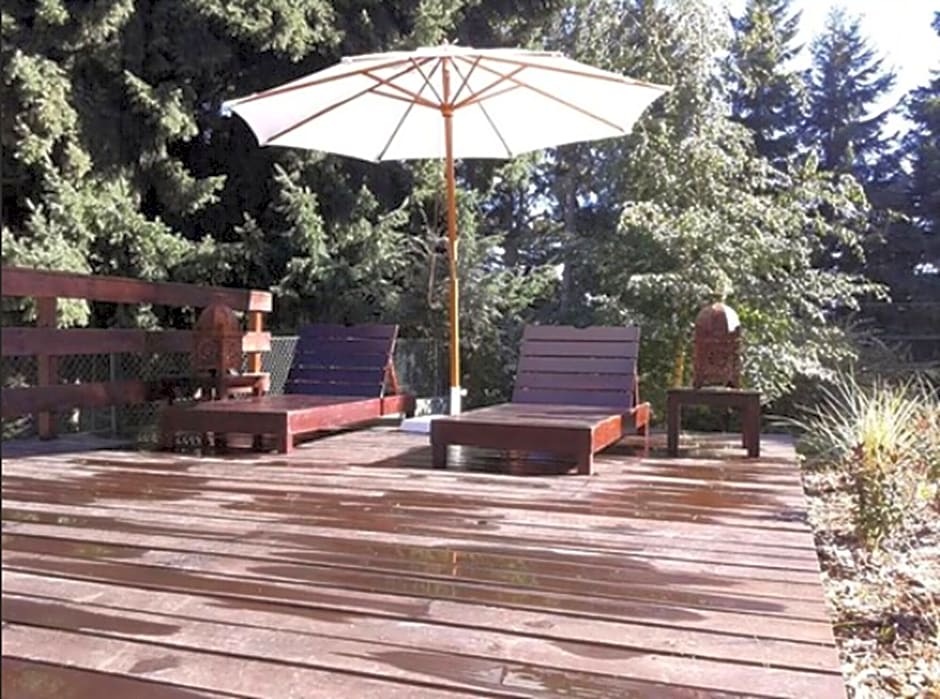 Aldea Andina Hotel&Spa