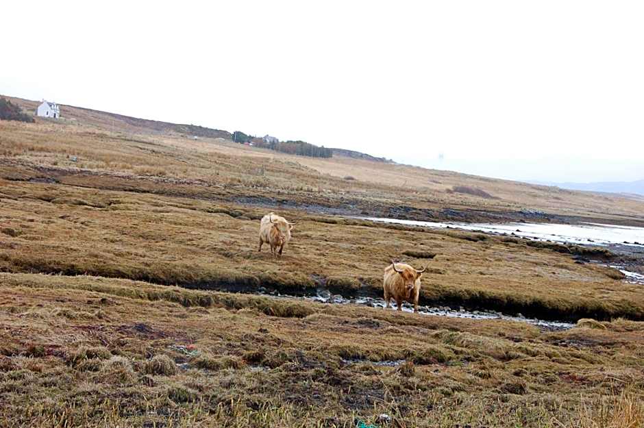 Hame on Skye