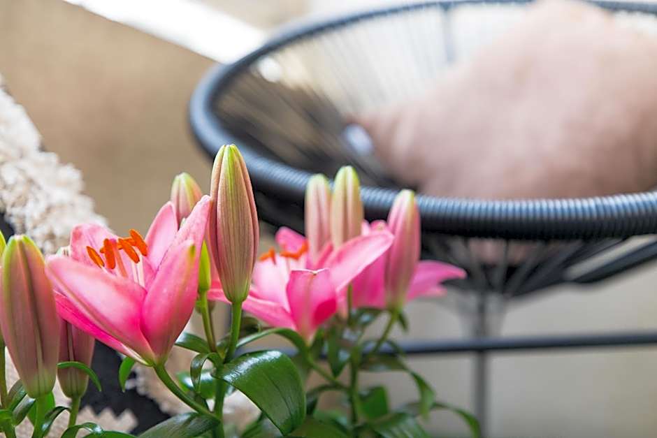 Hôtel des Beaux Arts