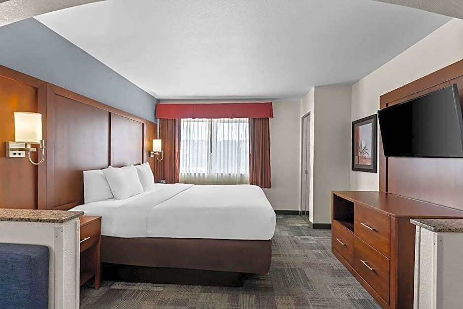Comfort Suites Denver Tech Center/Englewood