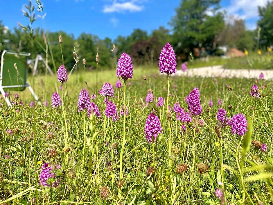 Le Village Enchanteur