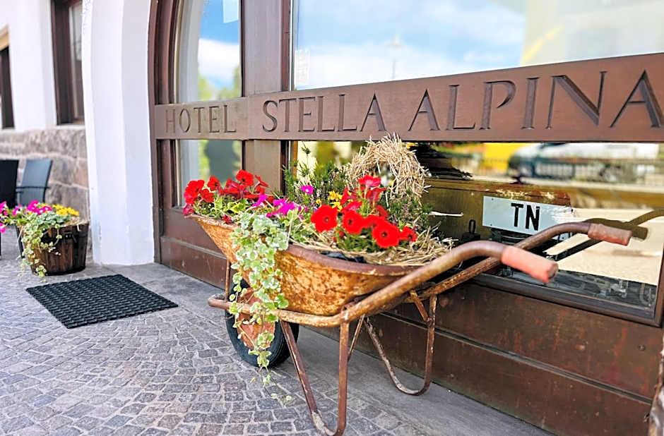 Hotel Stella Alpina