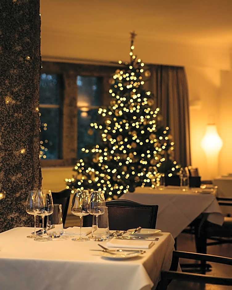 Hotel Meudon