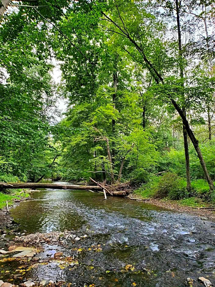 Glenwood Inn - Stroudsburg