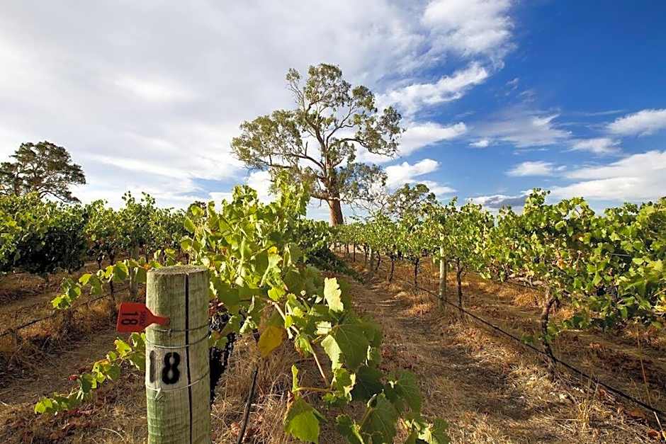 THE WHITE HOUSE luxury villa embedded in history