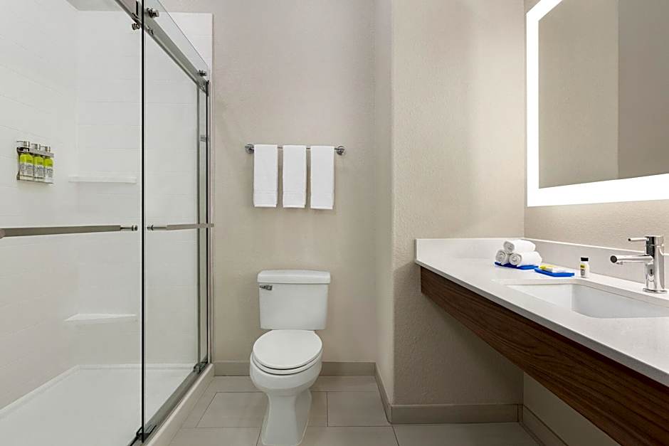 Holiday Inn Express Hotel & Suites Mission-McAllen Area By IHG