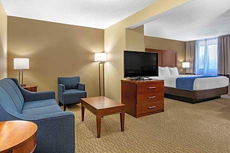 1 King Bed, Suite, Nonsmoking