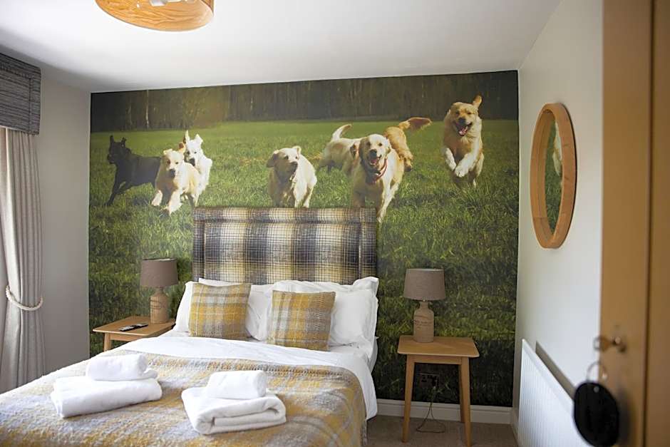 The Dog in Over Peover