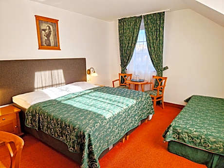 Standard Double or Twin Room