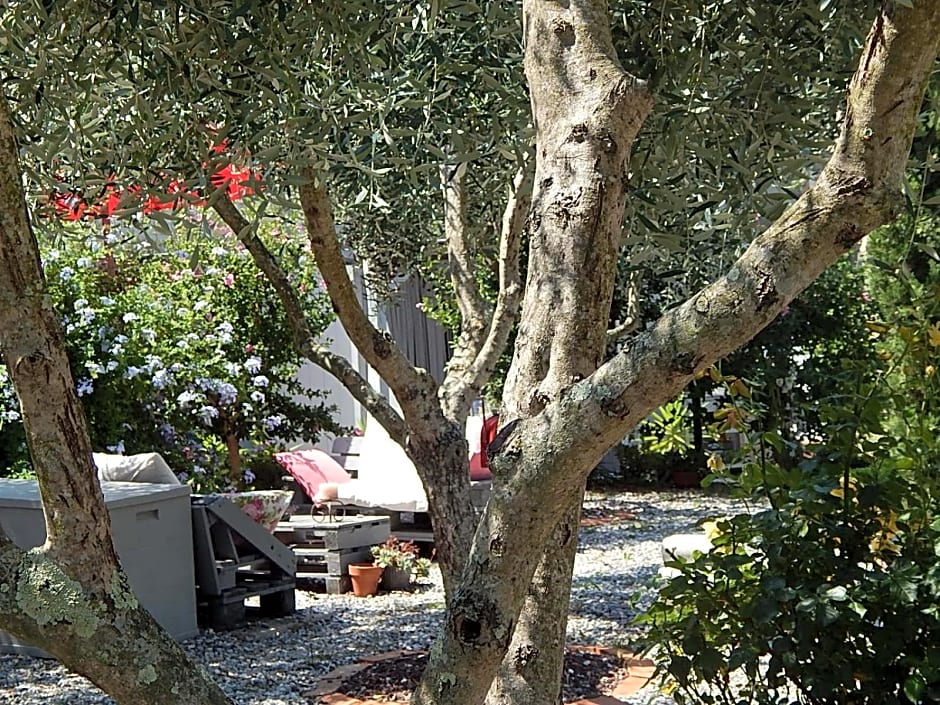 B&B Piè del Castello