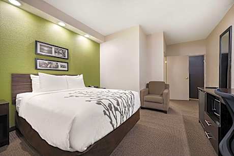 1 Queen Bed, Nonsmoking, Accessible