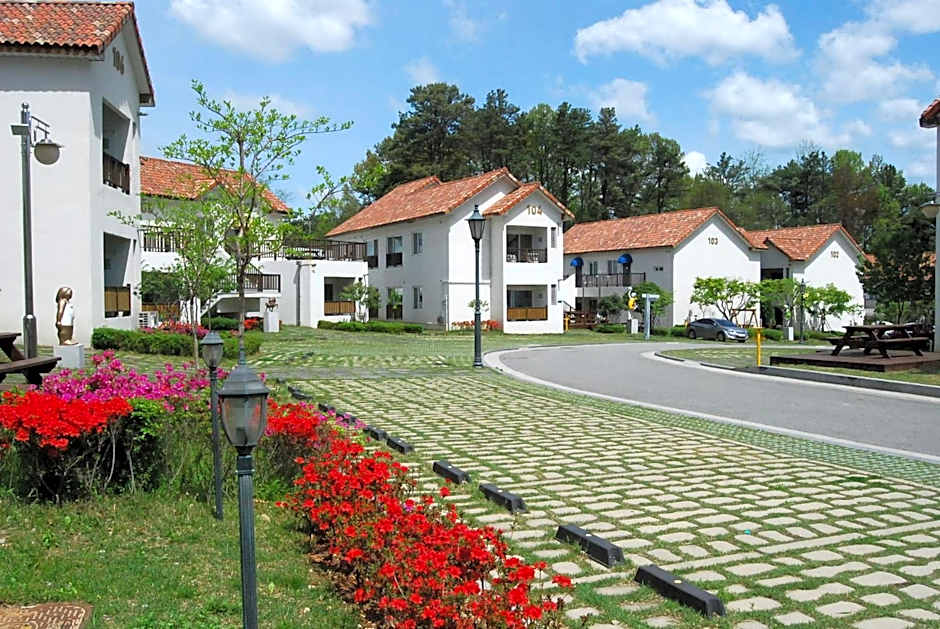 Meta Pension, DamYang