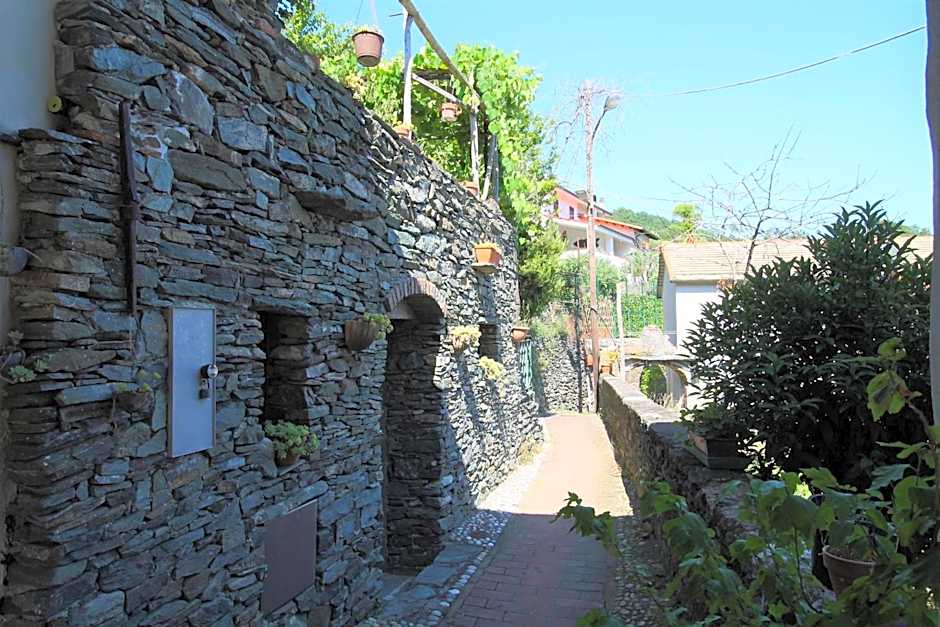 Il RosAle a Celle Ligure