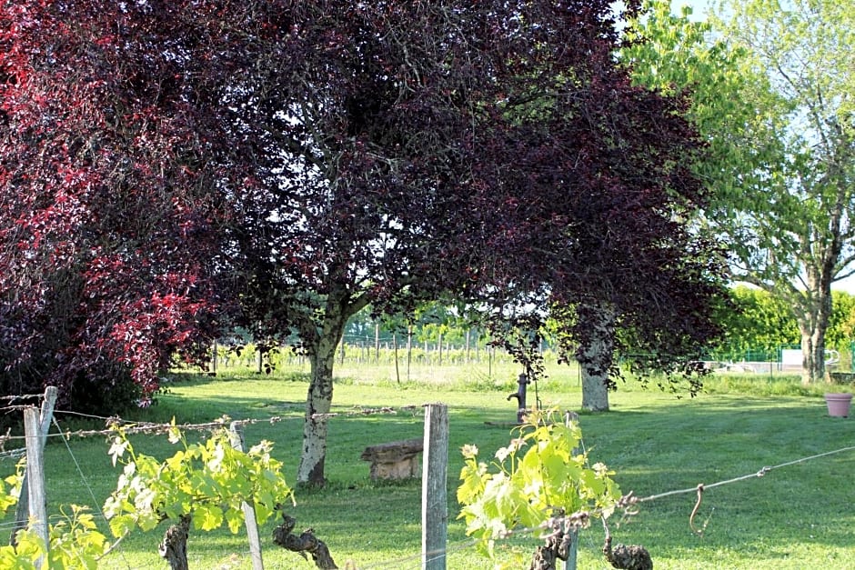 La Vigneraie de Laura