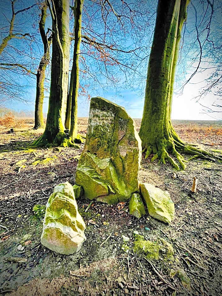 HARABURDI® Recyclart Hotel