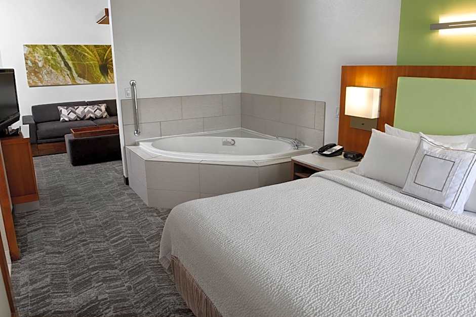 SpringHill Suites by Marriott Sioux Falls