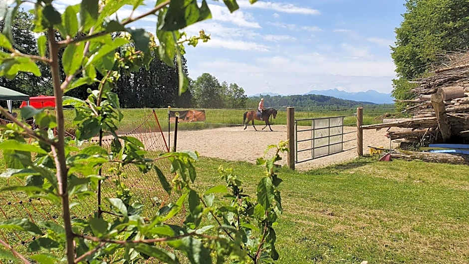 Der Blankhof "Back to Roots"