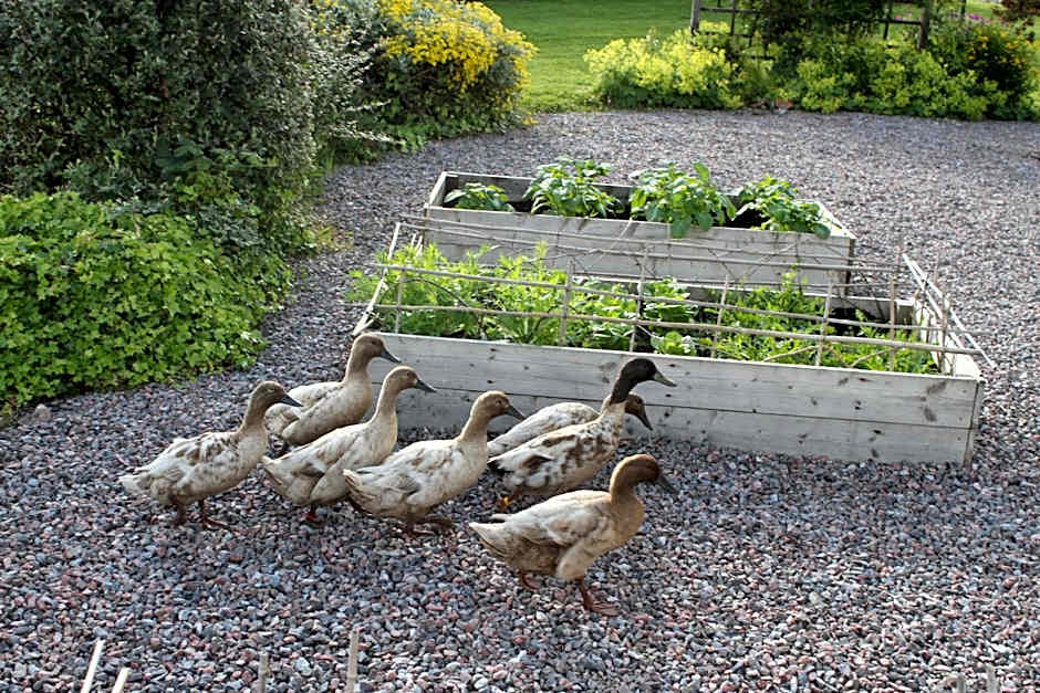 Heatherbank Guest House