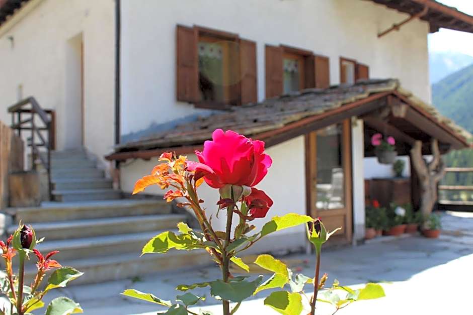 Residence Pavou
