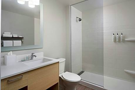 Suite, 1 Bedroom (1 Queen Bed and 1 Double Sofa Bed)