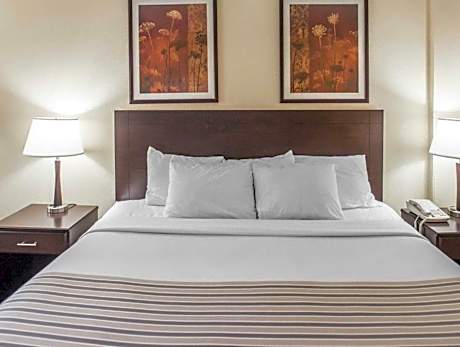 1 Queen Bed, Nonsmoking, Accessible