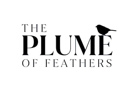 The Plume of Feathers
