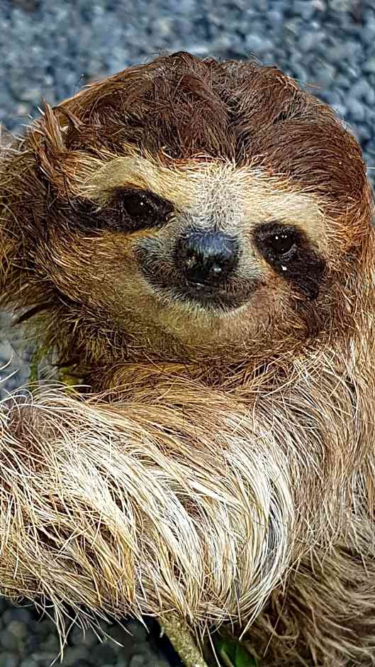 Ciudad Perdida EcoLodge