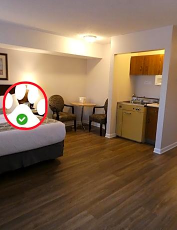 Standard 1 Queen with Kitchenette (Pet Friendly)